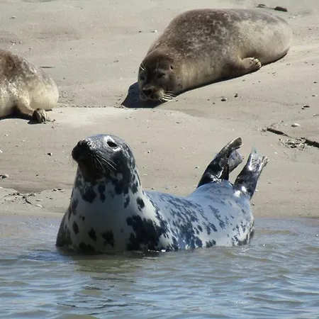 فندق مبيت وإفطار L Imperatrice