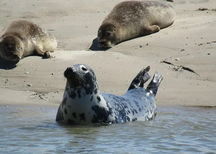 Bed and Breakfast L Imperatrice