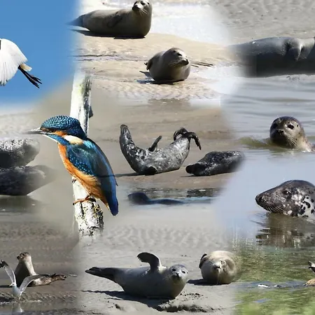 Alojamento de Acomodação e Pequeno-almoço L Imperatrice Berck
