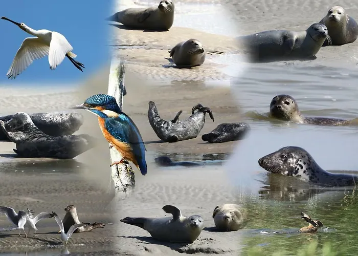 Bed & Breakfast L Imperatrice Berck